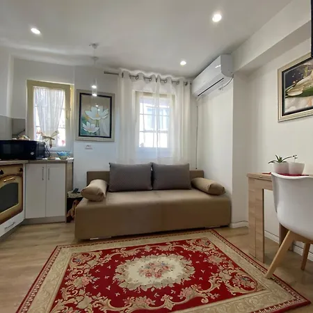Central Welcoming In Apartment Tirana